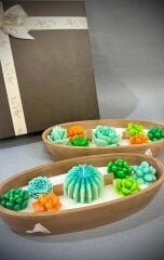 Oval Kaktüs Bahçesi Mum – El Yapımı Sukulent Formlu, Çam Kokulu, Dekoratif Beton Kap