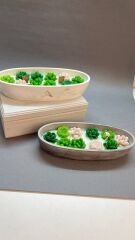 Oval Kaktüs Bahçesi Mum – El Yapımı Sukulent Formlu, Çam Kokulu, Dekoratif Beton Kap